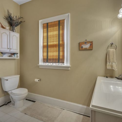 Bathroom 3 - downstairs