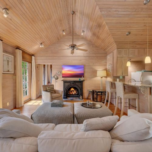 Living Room - Ceiling Fan