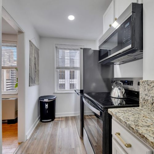 Kitchen - Stainless appliances, views, ice maker