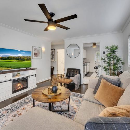 Living Room - Fire Place