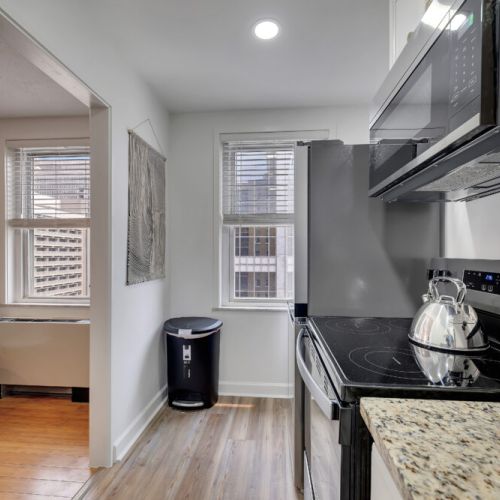 Kitchen - Stainless appliances, views, ice maker