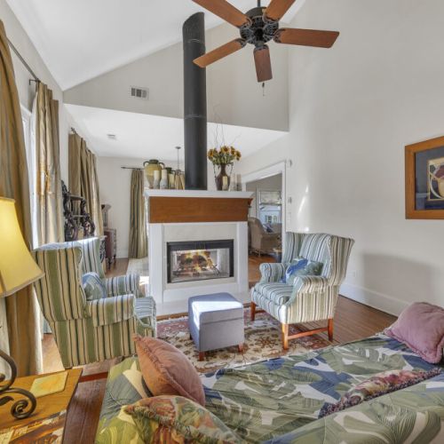 Living room 1 - Modern fire place