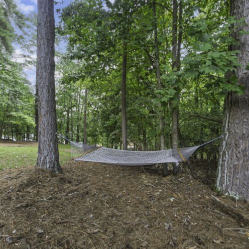 Hammock nestled among the trees