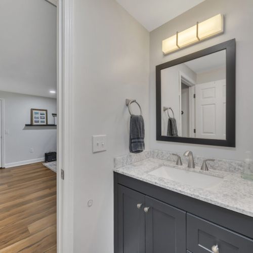 Lower Level Bathroom