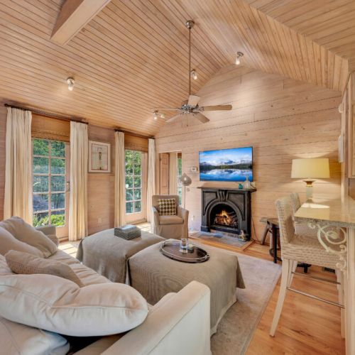 Living Room - Fire Place