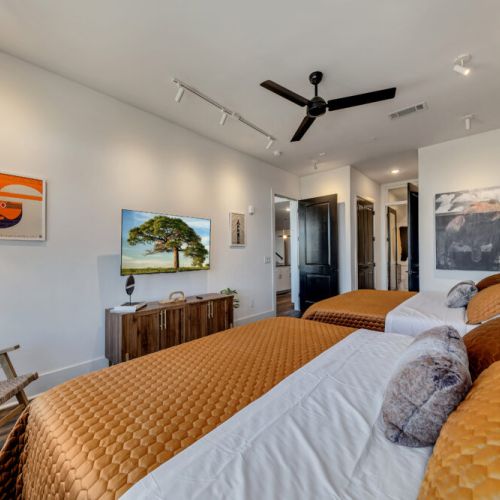 Second Bedroom - 55 inch Smart TV and Ceiling Fan