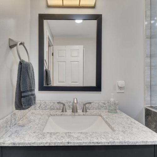 Lower Level Bathroom