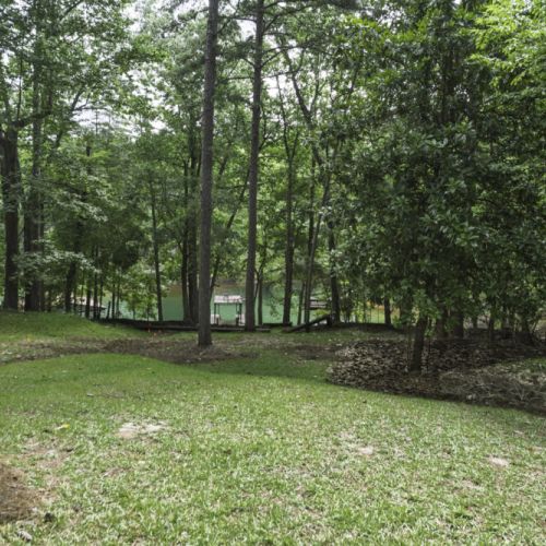 View going to the lake