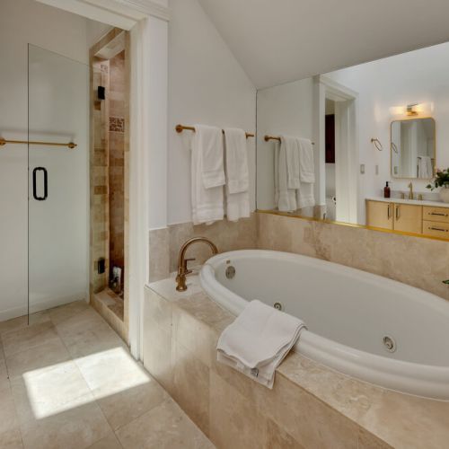 bathtub and shower area within the same luxurious
