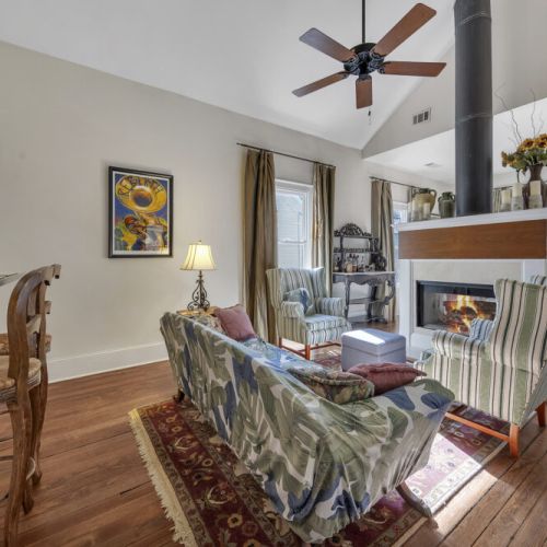 Living room 1 - European style couch